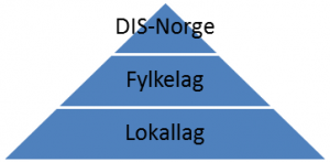 DIS-Norge organisation.png